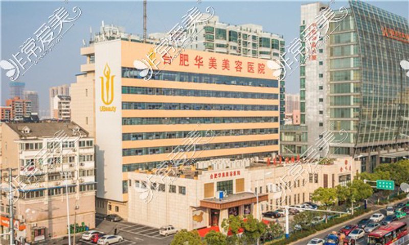 选对鼻部整形：从初学者到专业人士的全攻略