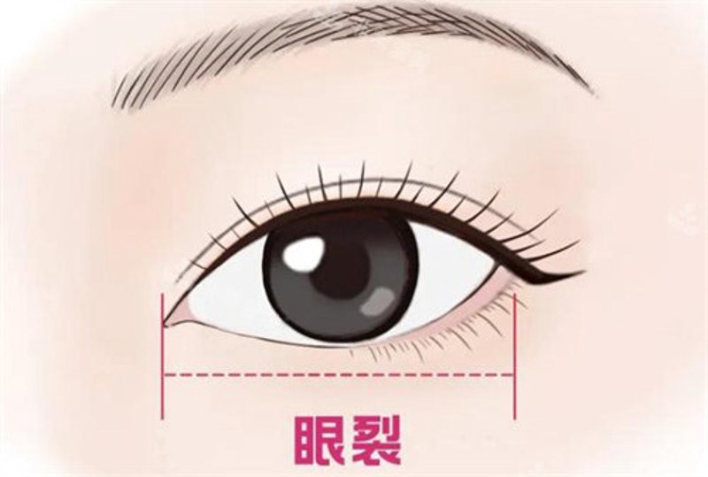 选择整形机构的注意事项：维多利亚整形选购指南